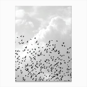 Flock Of Birds Canvas Print