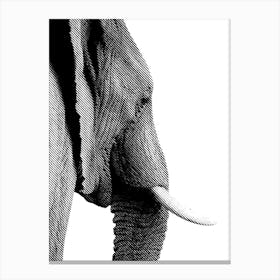 Elephant Line Art 3 Canvas Print