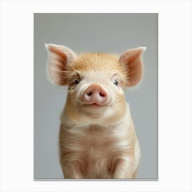 Cute Pig 1 Canvas Print