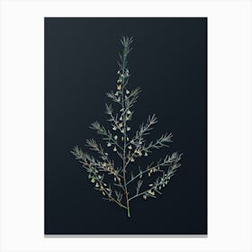 Vintage Sea Asparagus Botanical Watercolor Illustration on Dark Teal Blue n.0078 Canvas Print