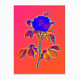 Neon Rosa Alba Botanical in Hot Pink and Electric Blue n.0105 Canvas Print