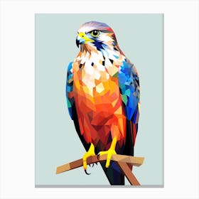Colourful Geometric Bird Falcon 5 Canvas Print