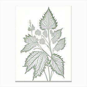 Nettle Herb William Morris Inspired Line Drawing 2 Canvas Print