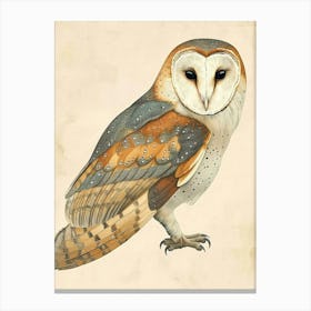 Barn Owl Vintage Illustration 1 Canvas Print