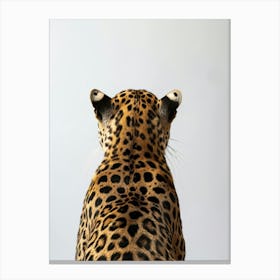 Leopard 25 Canvas Print