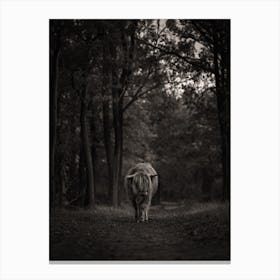 Highland Cow In The Woods | Moody | Black and white | The Netherlands Canvas Print