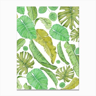 Beautiful Watercolor Tropical Leaves Pattern Canvas Print