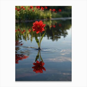 Red Flower In Water Canvas Print