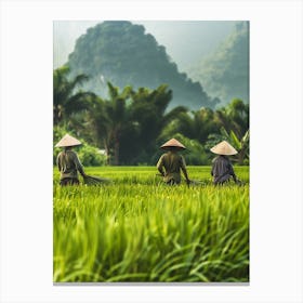 Rice Field In Vietnam Canvas Print