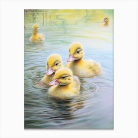 Ducklings Swimming In The River Pencil Illustration 4 Canvas Print