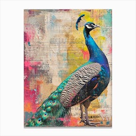 Kitsch Peacock Collage 5 Canvas Print