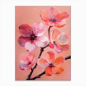 Cherry Blossoms 4 Canvas Print