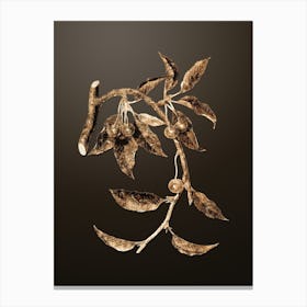 Gold Botanical Cherry on Chocolate Brown n.1354 Canvas Print
