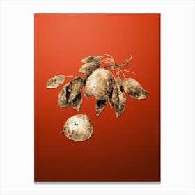 Gold Botanical Pear on Tomato Red n.1981 Canvas Print