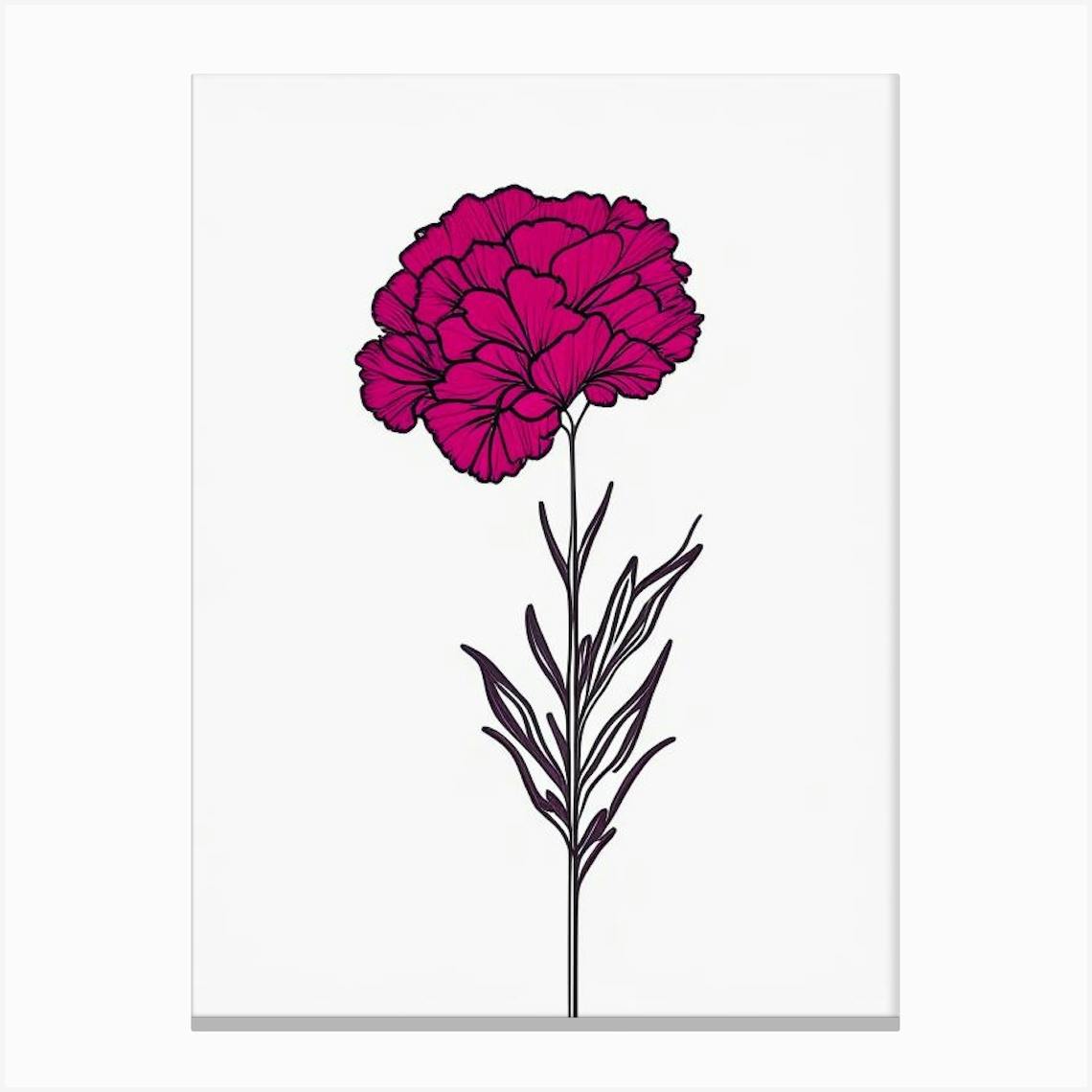 Carnation Flower Drawing Images - Free Download on Freepik