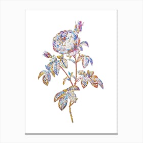 Stained Glass Provence Rose Bloom Mosaic Botanical Illustration on White n.0011 Canvas Print