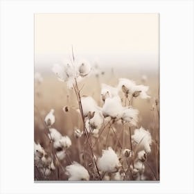 White Cotton Flowers Canvas Print
