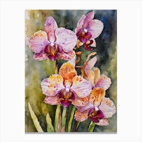 Psychopsis Orchids Water Colour 1 Canvas Print