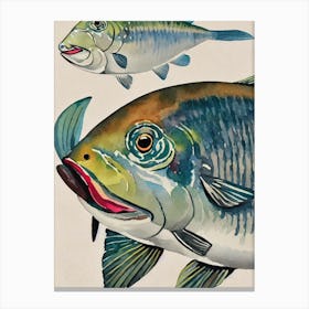 Portuguese Dogfish Vintage Graphic Watercolour Canvas Print