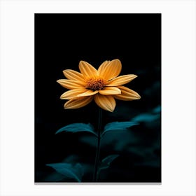 Yellow Flower 1 Canvas Print