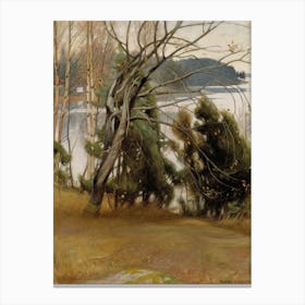 View Of A Lake Canvas Print