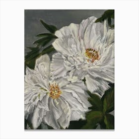 White peonies, acrylic Canvas Print