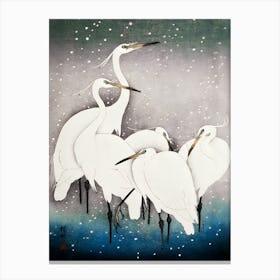 Birds Arts Canvas Print