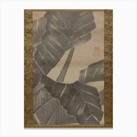 Banana Leaves, Itō Jakuchū Canvas Print