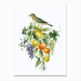 Bird On A Branch Canvas Print