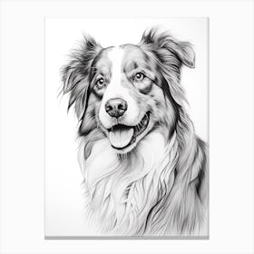 Australian Shepherd Dog, Line Drawing 4 Canvas Print