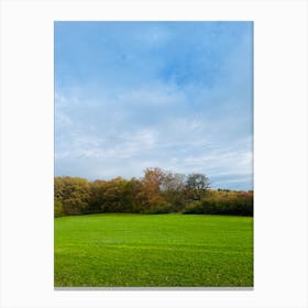 Field With Trees 4 Canvas Print