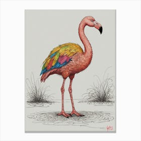 Flamingo 28 Canvas Print