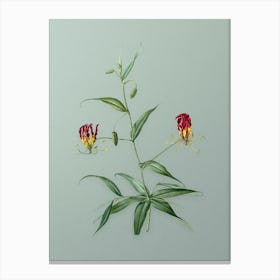 Vintage Flame Lily Botanical Art on Mint Green Canvas Print
