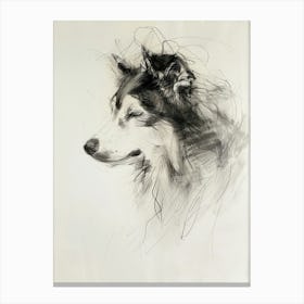 Malmute Dog Charcoal Line Canvas Print