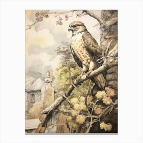 Storybook Animal Watercolour Hawk 2 Canvas Print