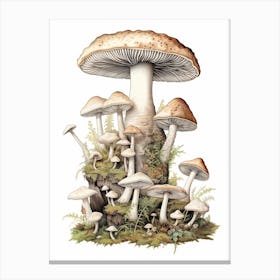 Storybook Mushrooms 2 Canvas Print