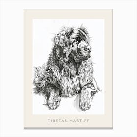 Tibetan Mastiff Dog Line Sketch 2 Poster Canvas Print