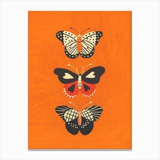 Butterflies In Orange Canvas Print