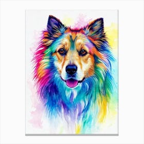 Berger Picard Rainbow Oil Painting dog Canvas Print