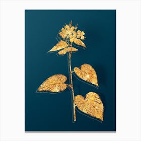 Vintage Morning Glory Flower Botanical in Gold on Teal Blue n.0204 Canvas Print
