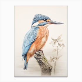 Vintage Bird Drawing Kingfisher 2 Canvas Print