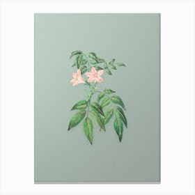 Vintage Turraea Pinnata Flower Botanical Art on Mint Green n.0178 Canvas Print