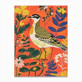 Spring Birds Lapwing 3 Canvas Print