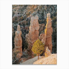 Bryce Canyon Rock Formations Canvas Print