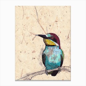 Bee Eater Canvas Print