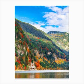 Autumn Forest In The Mountains Canvas Print