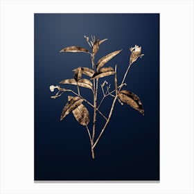 Gold Botanical Maranta Arundinacea on Midnight Navy n.0783 Canvas Print