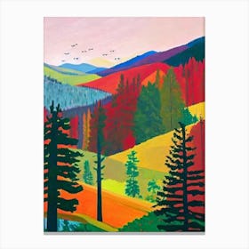 Sequoia National Park 1 United States Of America Abstract Colourful Canvas Print