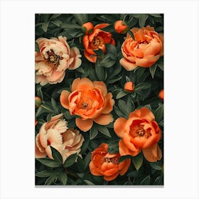 Peony Wallpaper 1 Canvas Print