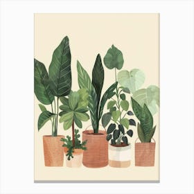 Potted Plants 4 Canvas Print
